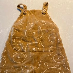 Teddy bear overalls